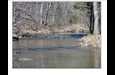 5154 Dry Mill Creek Hilham TN 38568