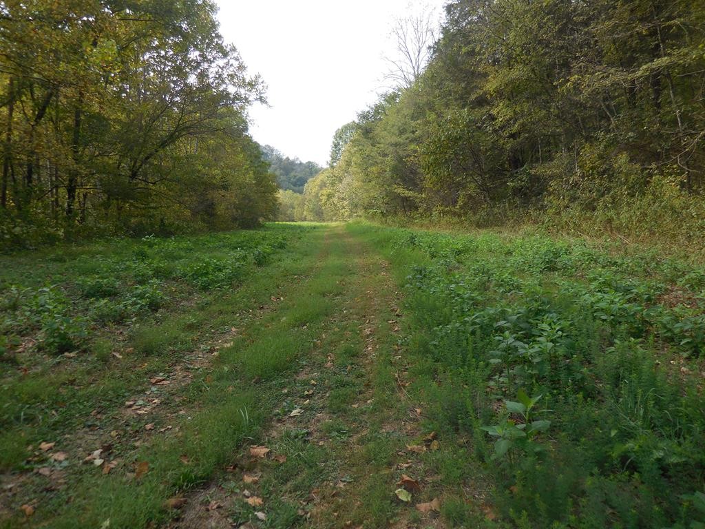 5154 Dry Mill Creek Hilham TN 38568