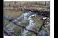 5154 Dry Mill Creek Hilham TN 38568
