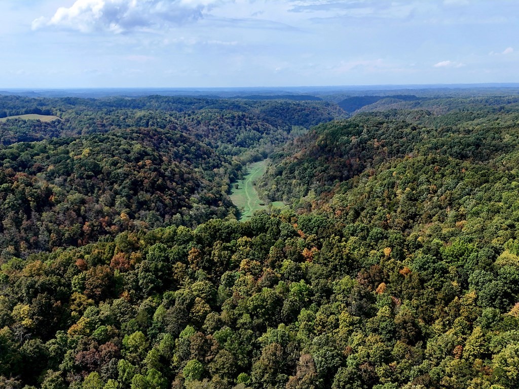 5154 Dry Mill Creek Hilham TN 38568