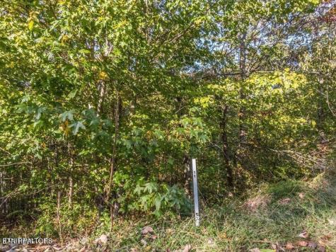 0 Emerald Pointe Circle Rockwood TN 37854