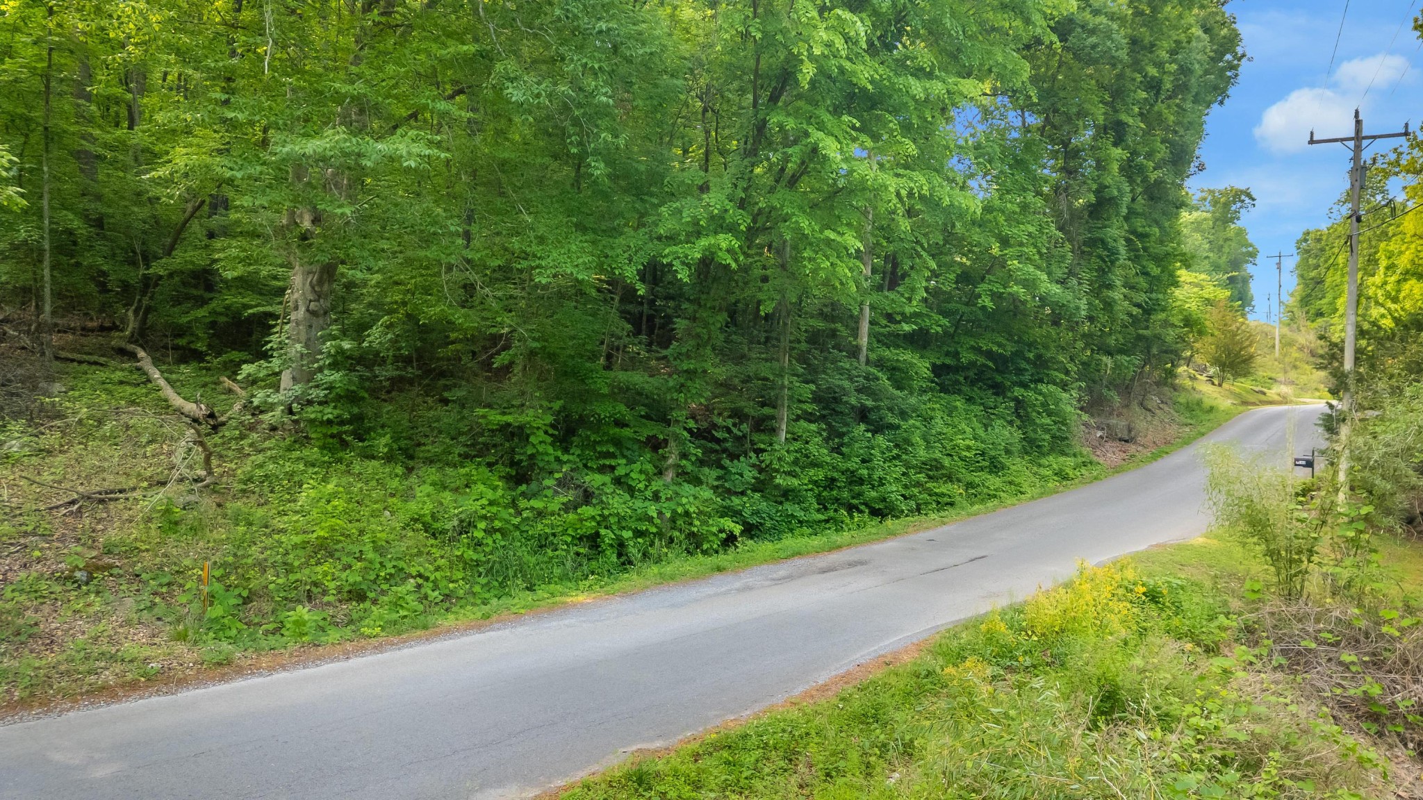 0 Mullins Cove Road Whitwell TN 37397