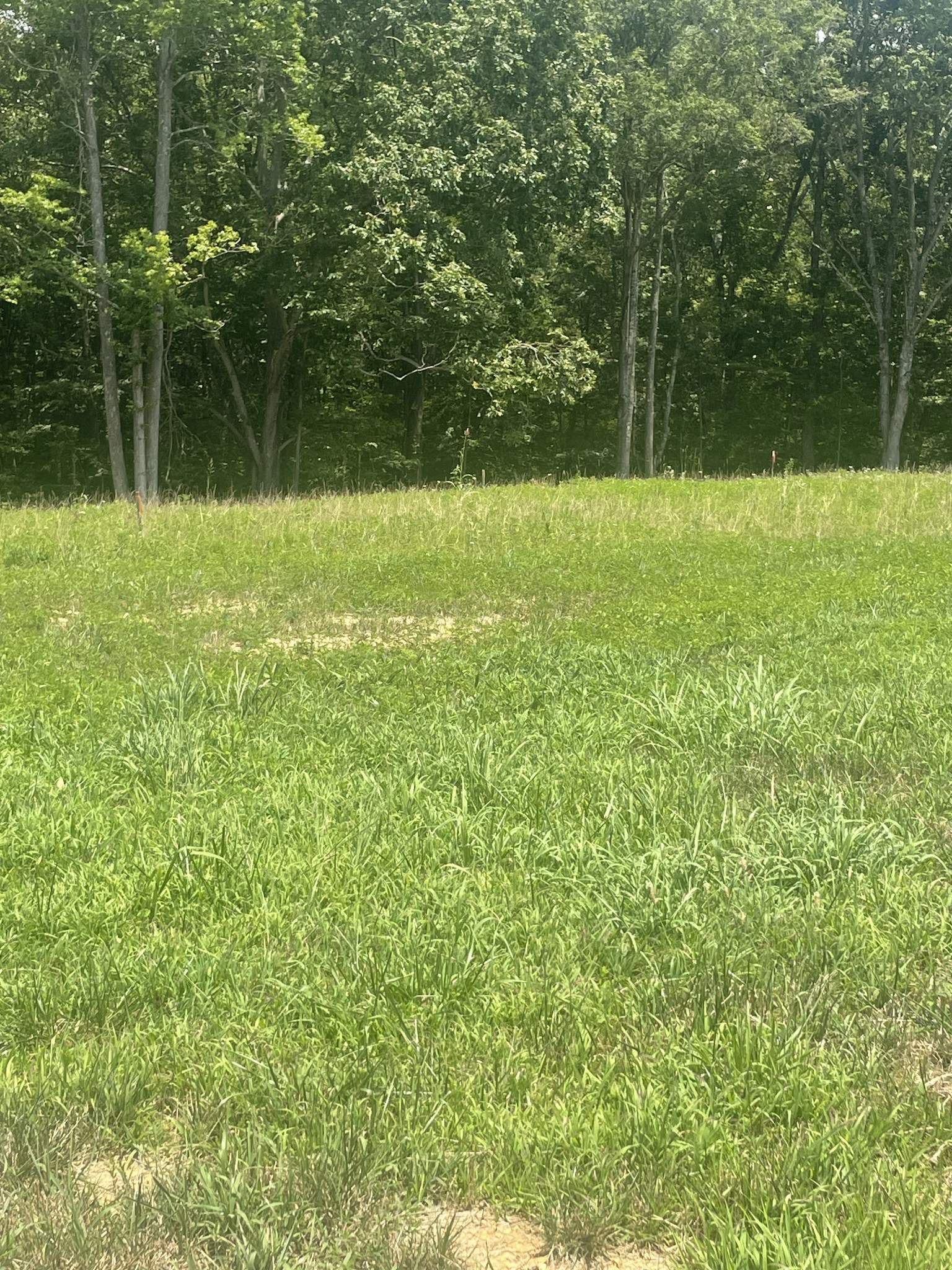 0 Summerlake Court Winchester TN 37398