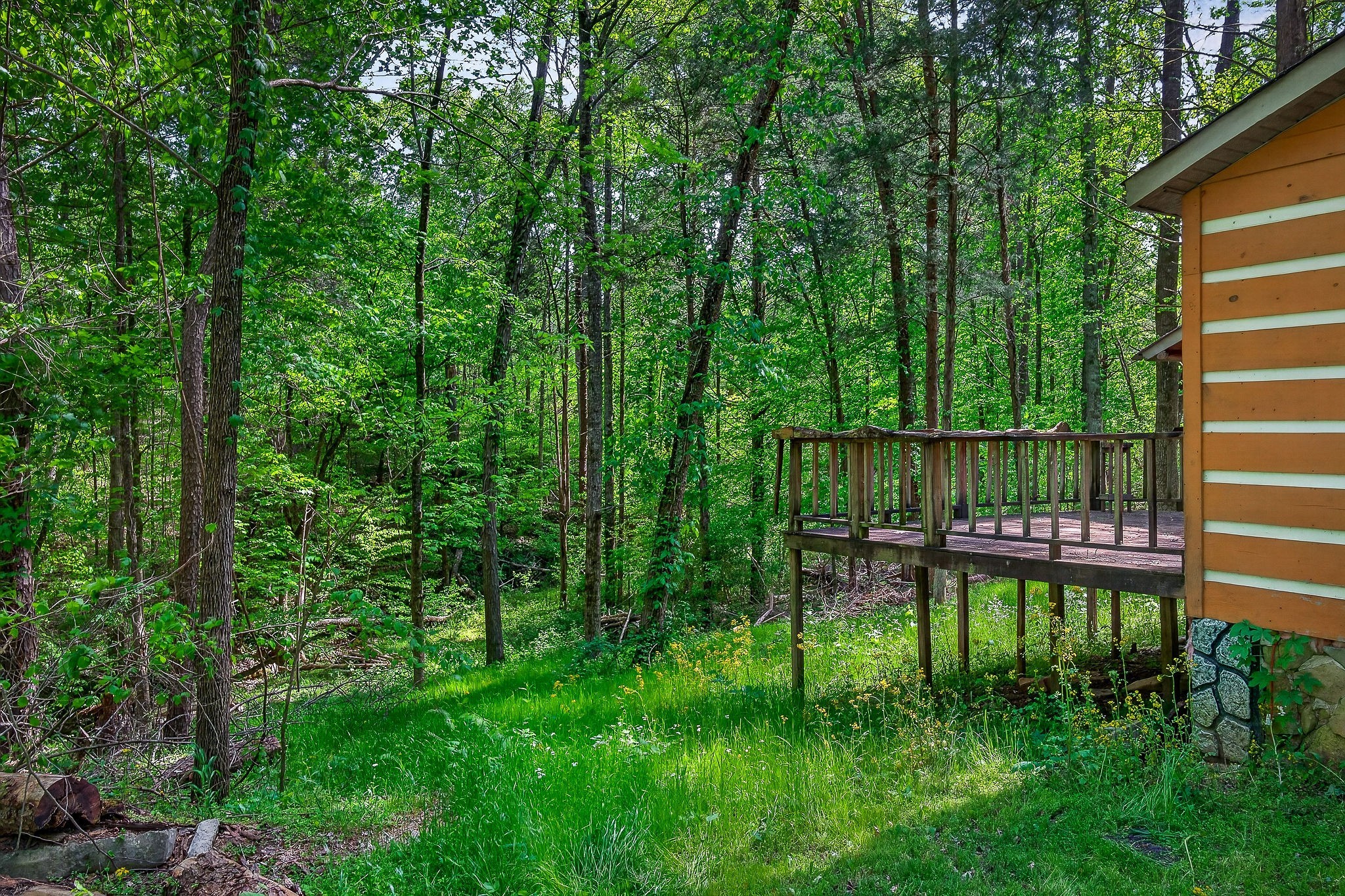 305 Caney Bend Road Doyle TN 38559