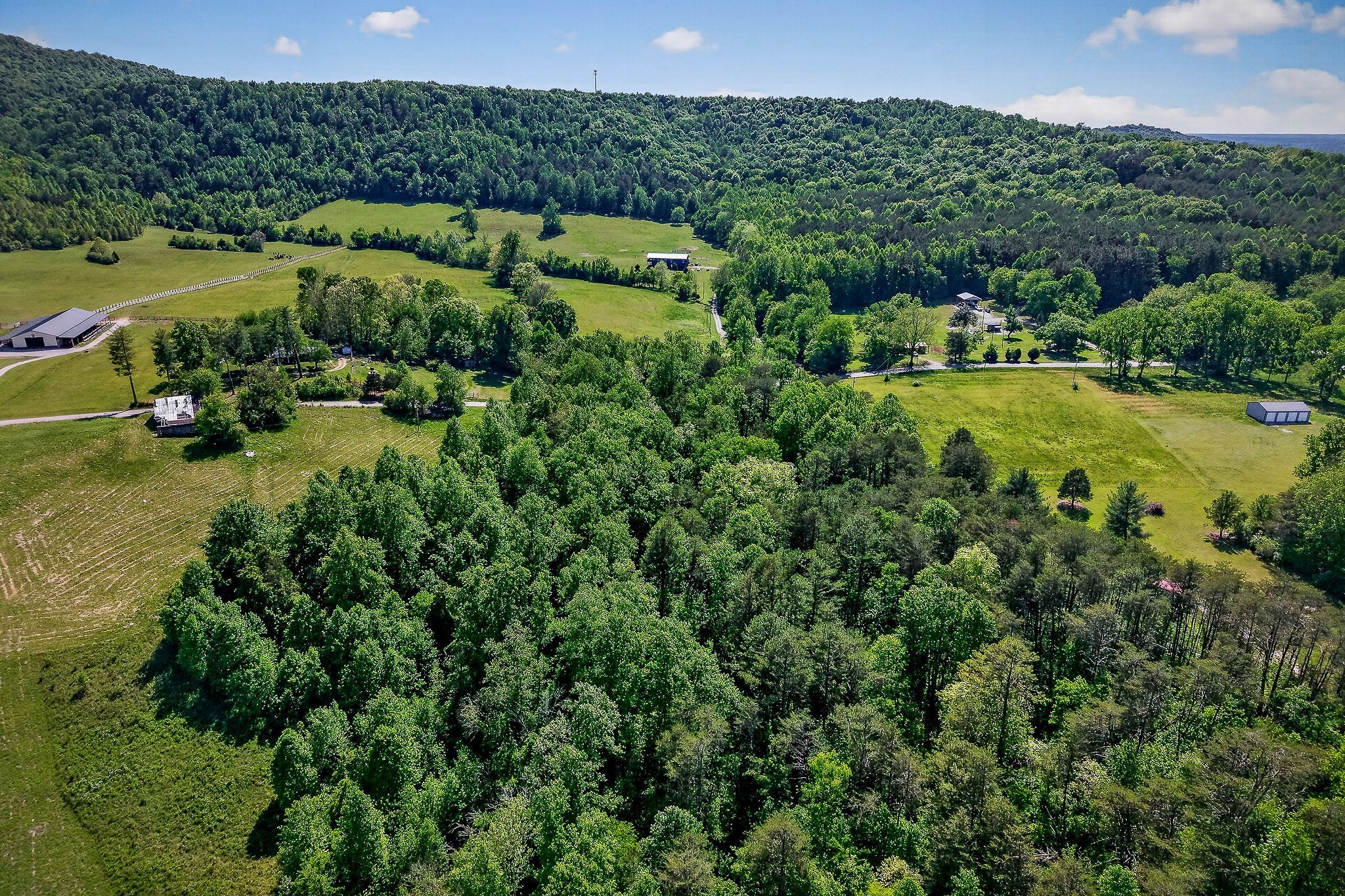 305 Caney Bend Road Doyle TN 38559