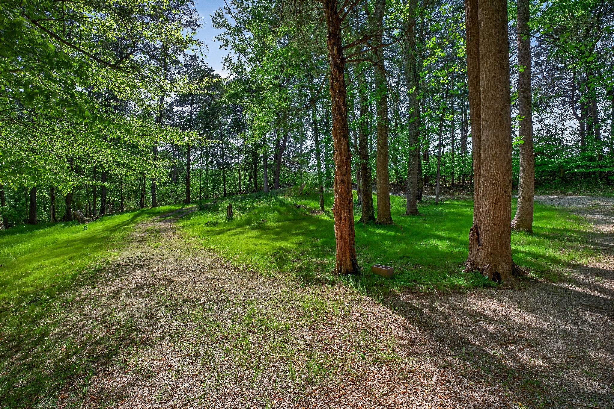 305 Caney Bend Road Doyle TN 38559