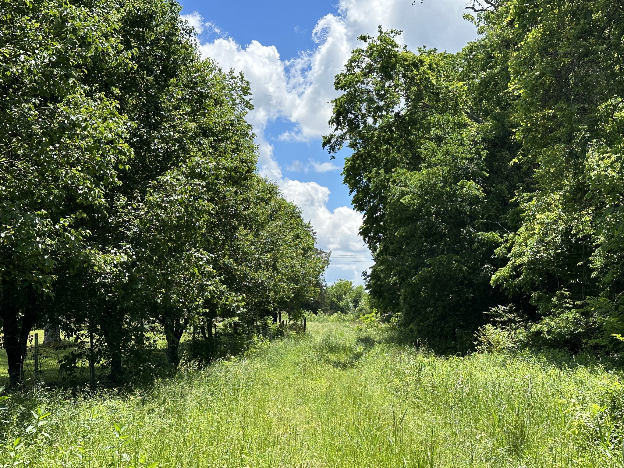 0 Mccrary Road Lebanon TN 37090
