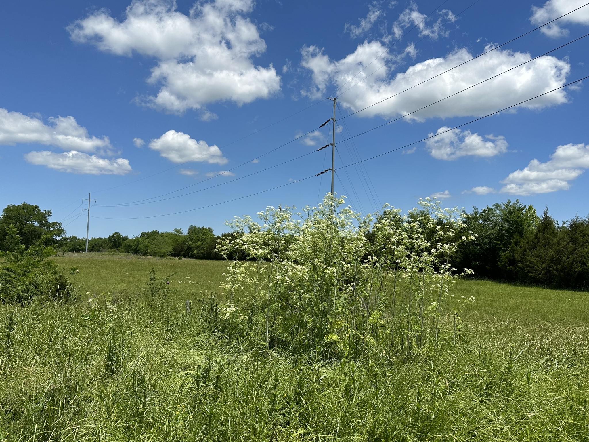 0 Mccrary Road Lebanon TN 37090
