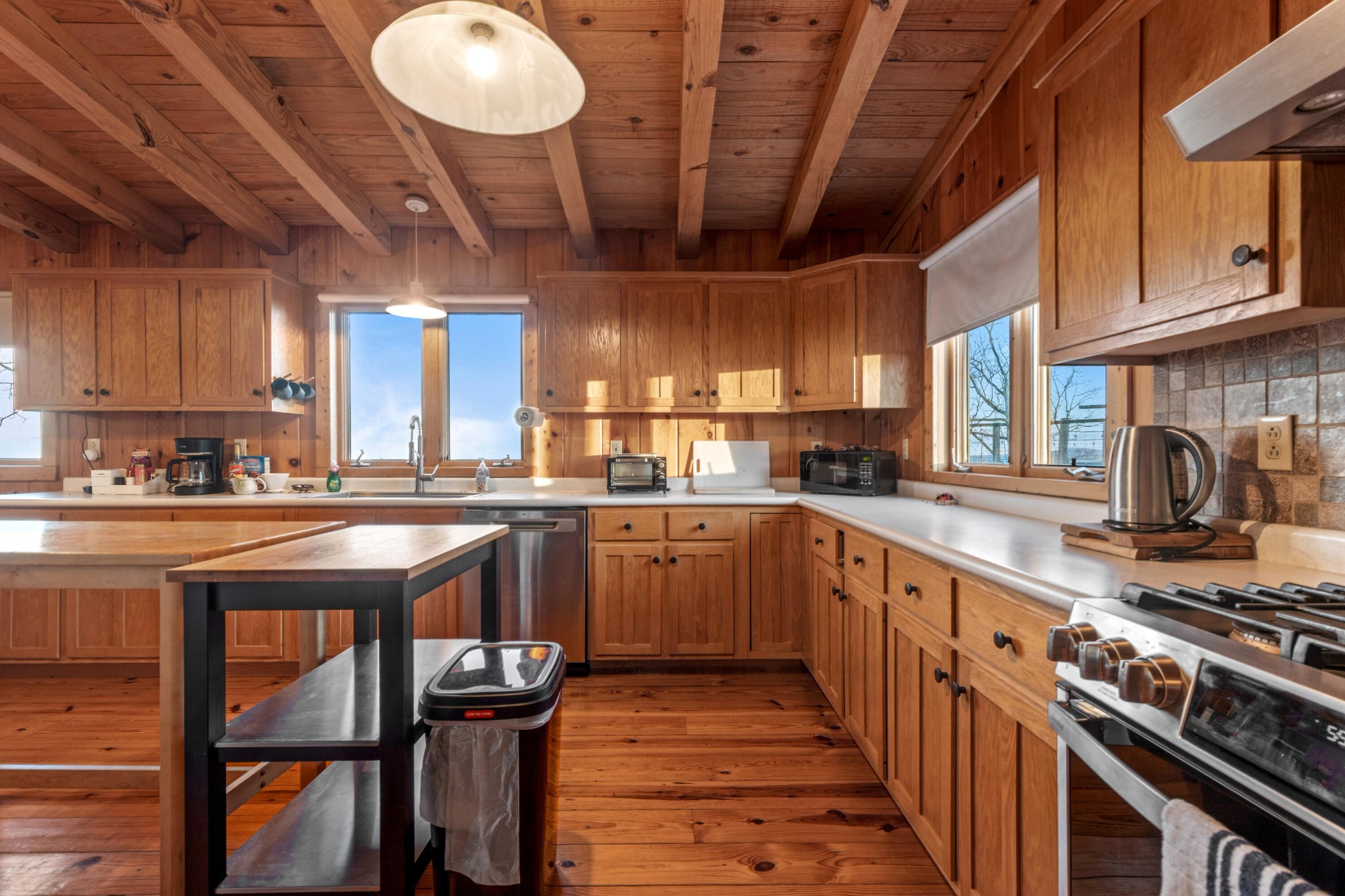 319 Lookout Drive Rising Fawn GA 30738