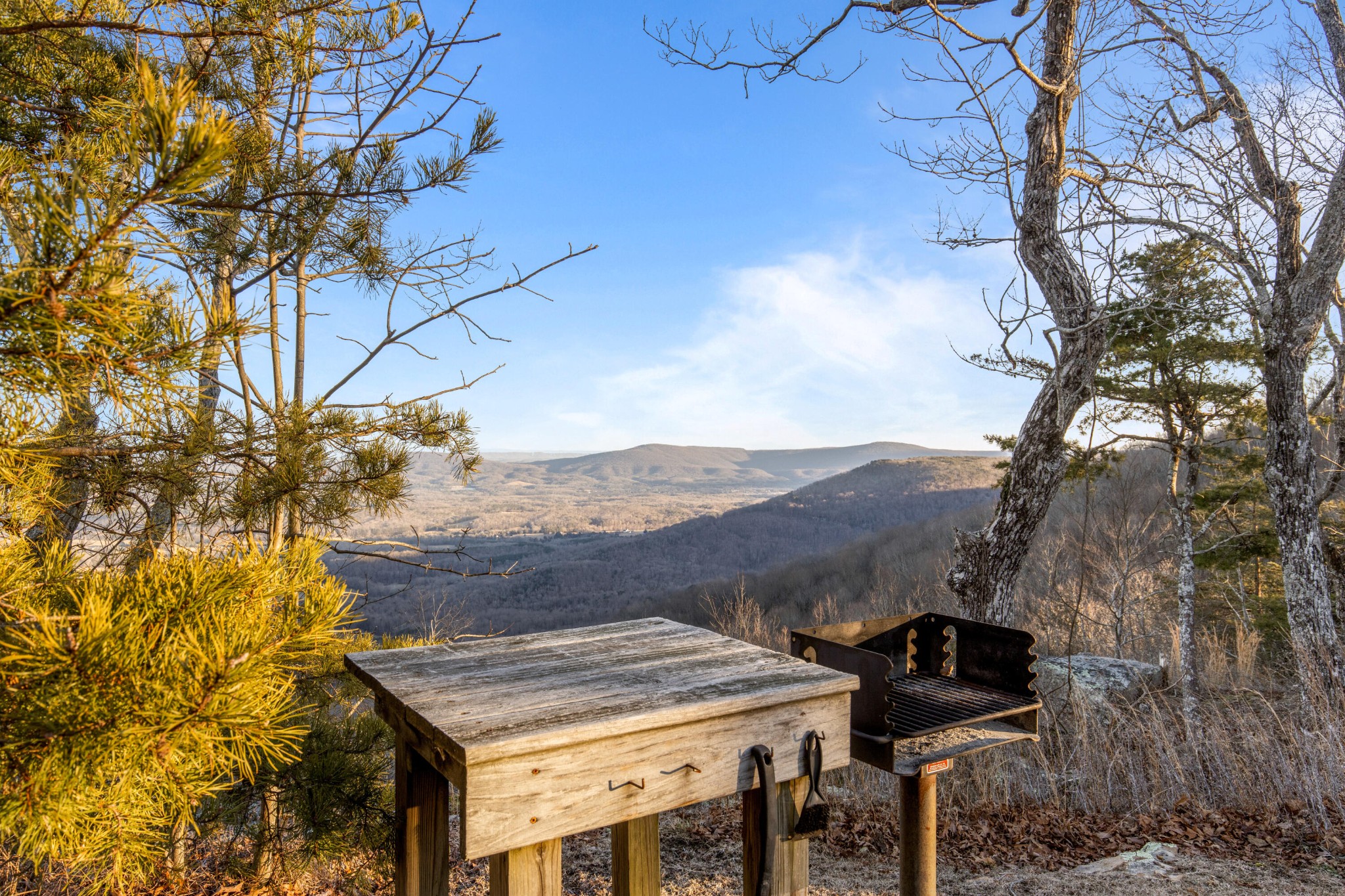 319 Lookout Drive Rising Fawn GA 30738