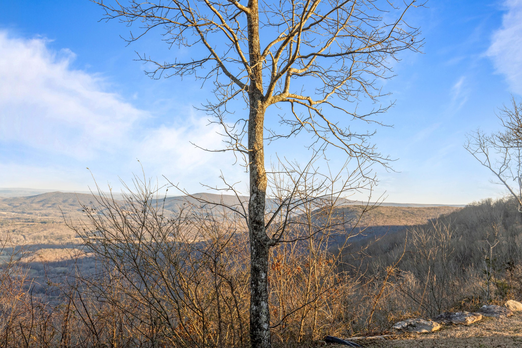 319 Lookout Drive Rising Fawn GA 30738