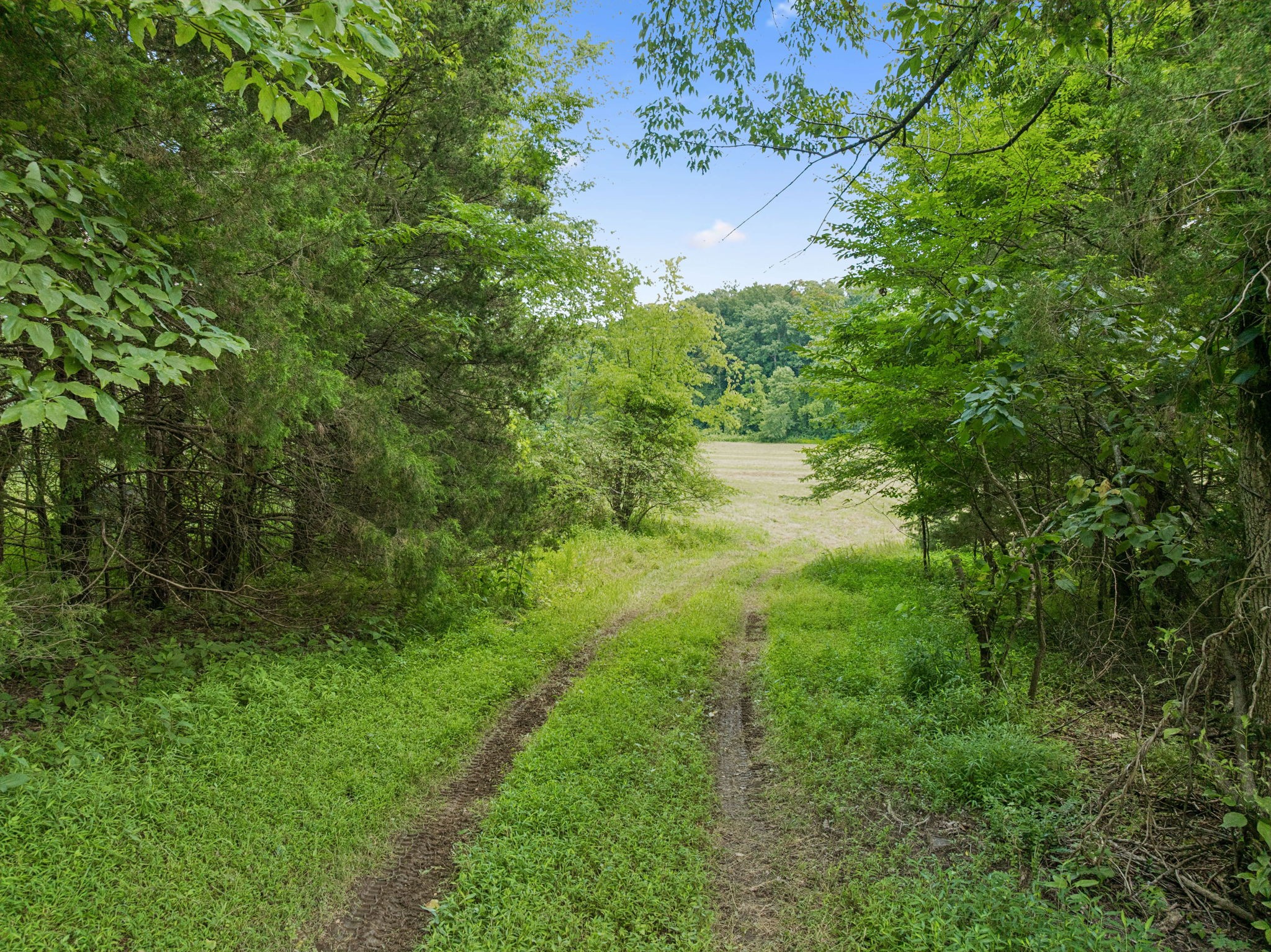 3485 Highway 47, N Charlotte TN 37036