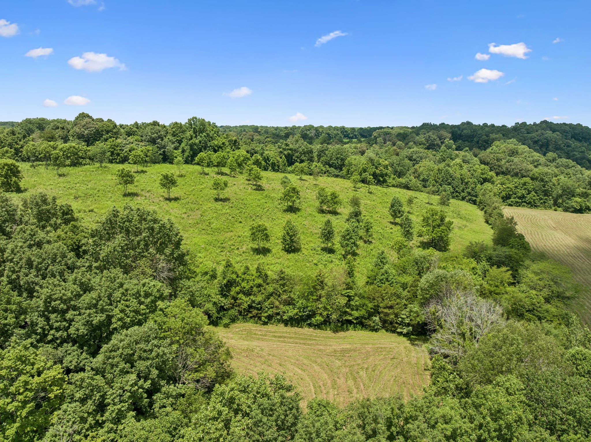 3485 Highway 47, N Charlotte TN 37036