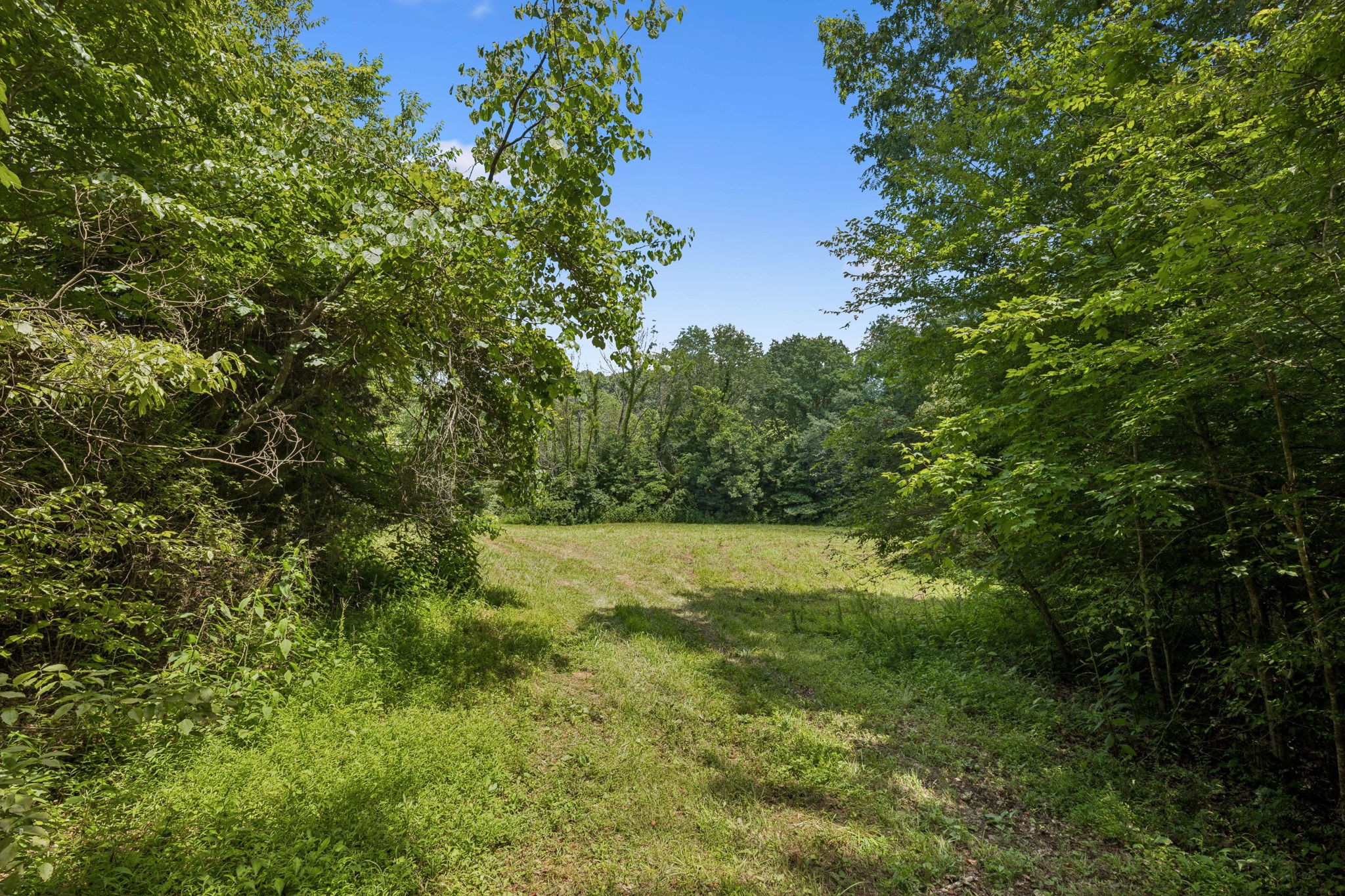 3485 Highway 47, N Charlotte TN 37036