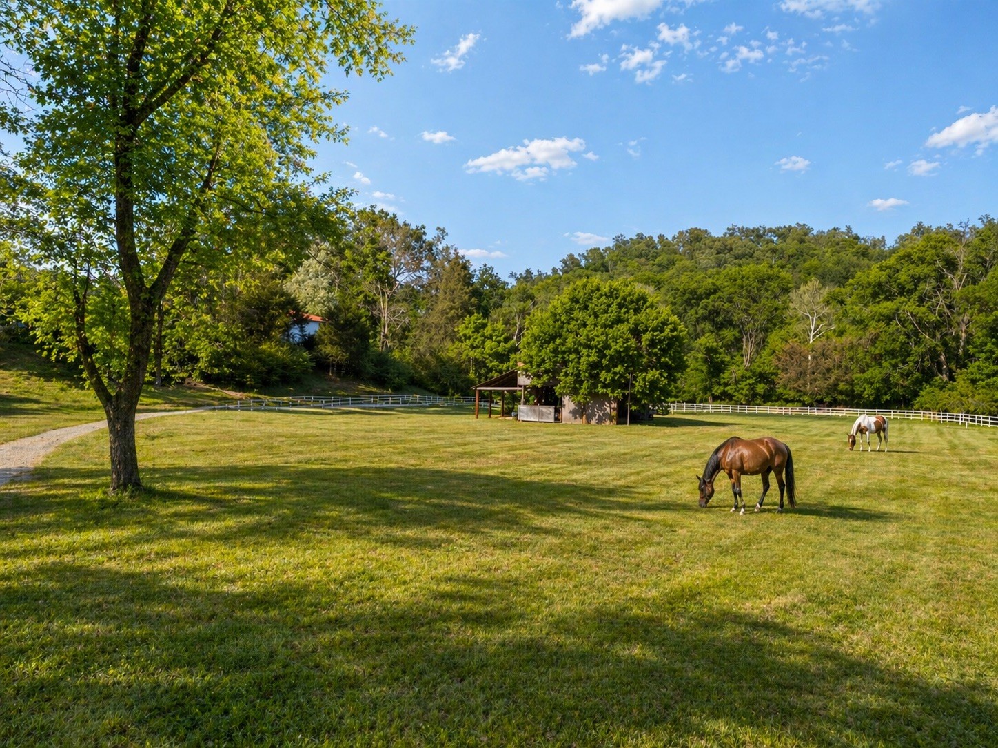 1265 Sams Creek Road Ashland City TN 37015
