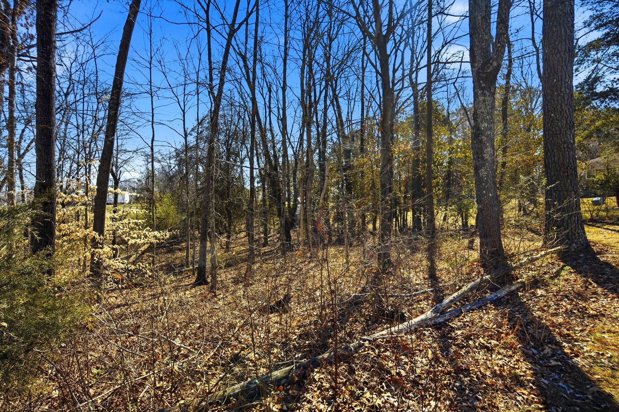 439 Hickory Bend Drive Greenbrier TN 37073