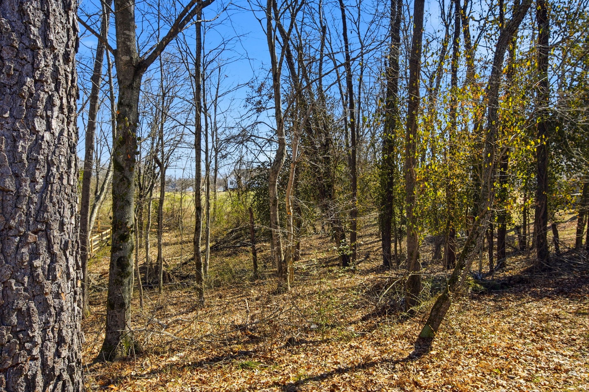 439 Hickory Bend Drive Greenbrier TN 37073