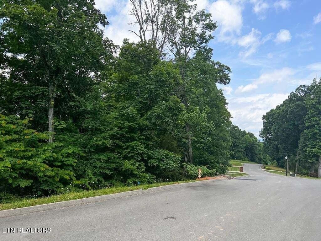 1955 Turners Landing Road Russellville TN 37860