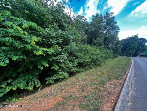 1955 Turners Landing Road Russellville TN 37860