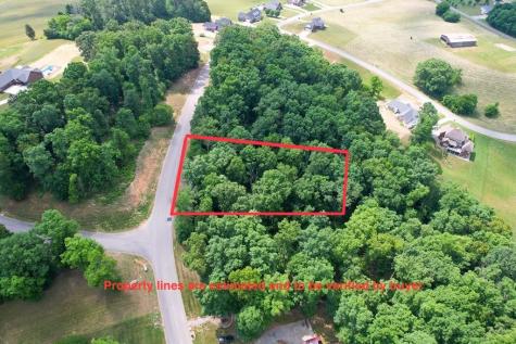 1955 Turners Landing Road Russellville TN 37860