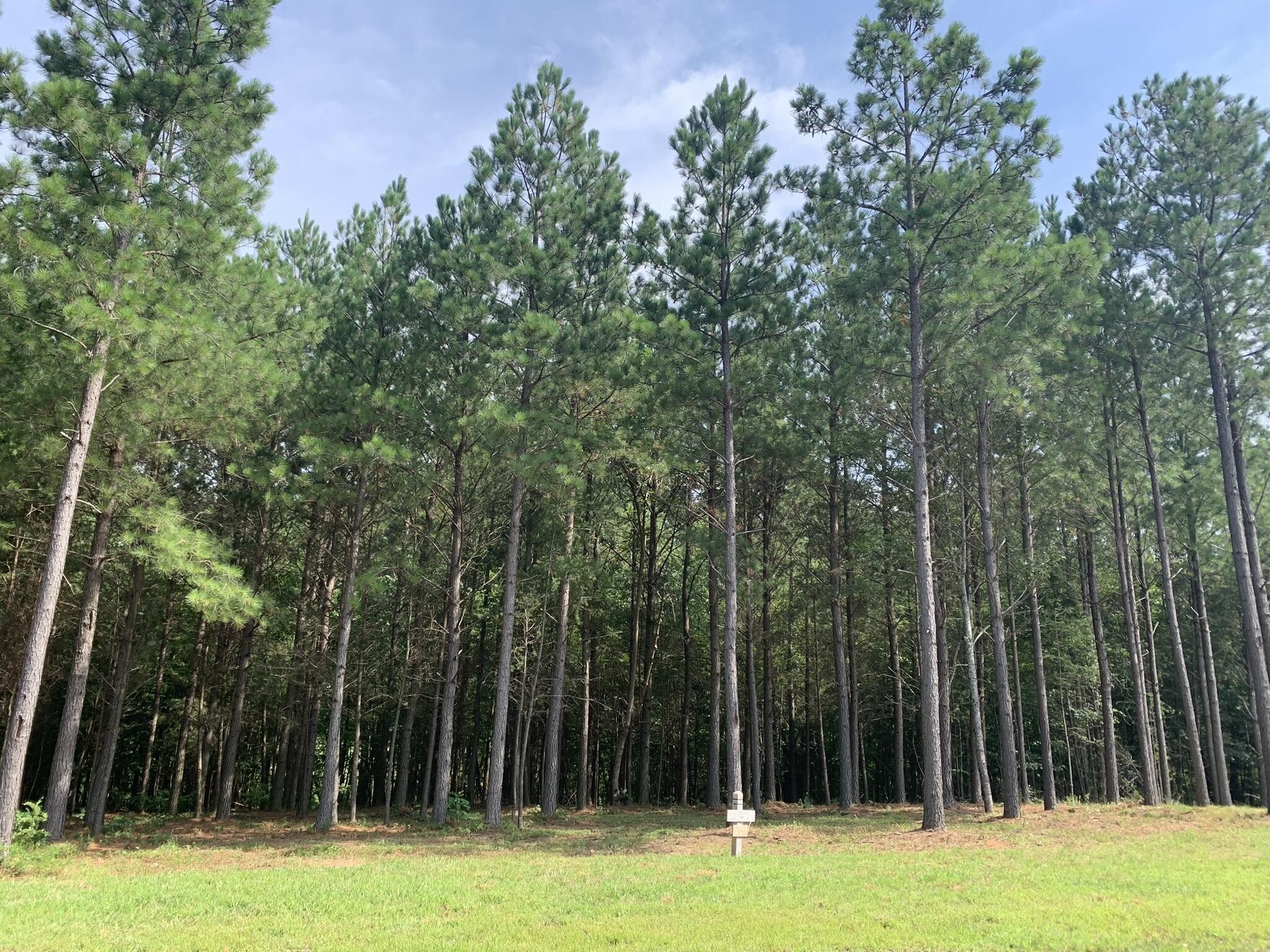 5140 Crockett Jasper TN 37347