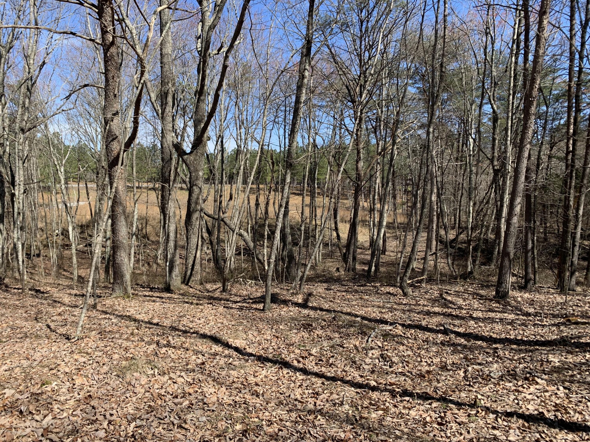 5140 Crockett Jasper TN 37347