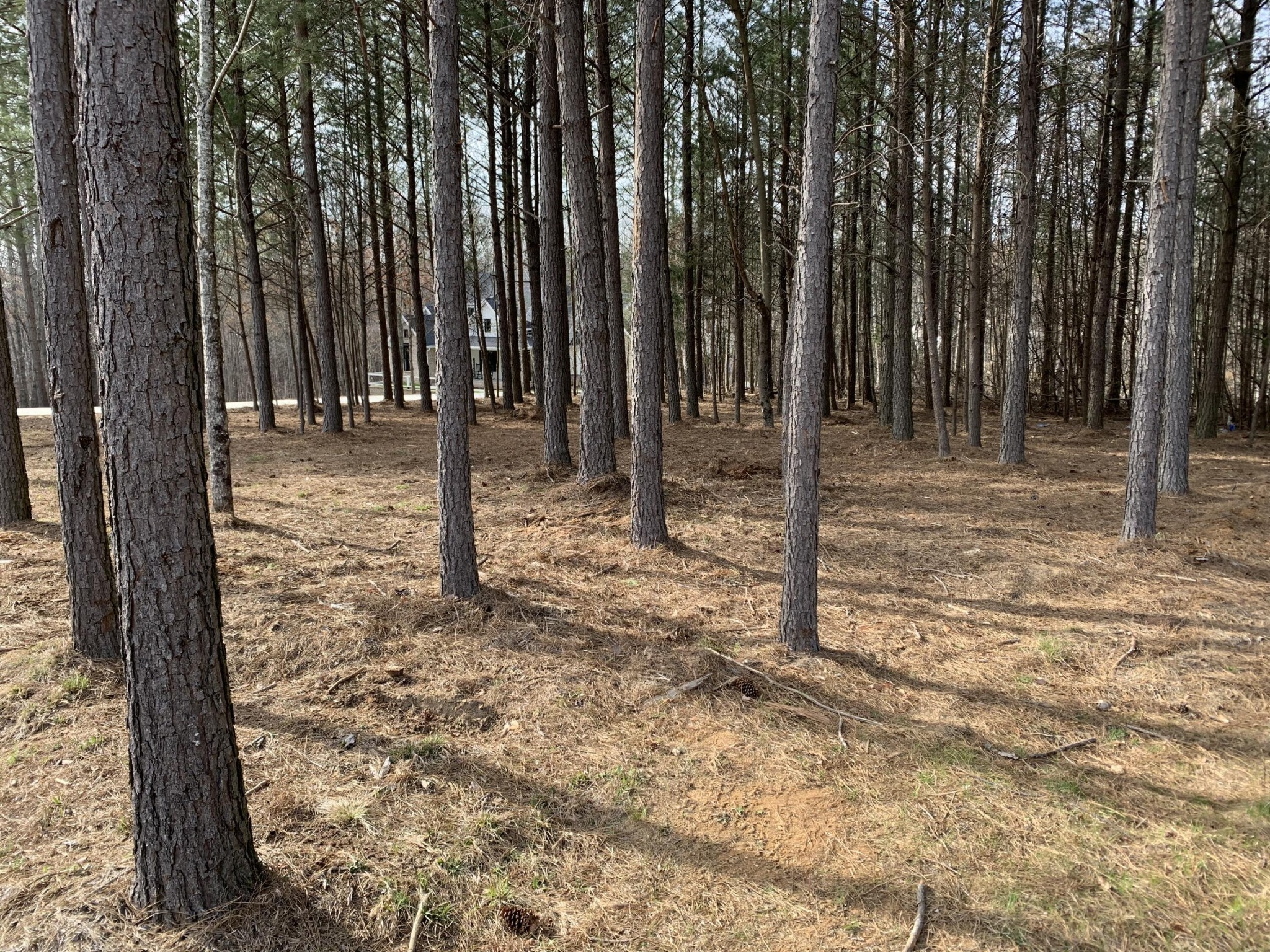 5140 Crockett Jasper TN 37347
