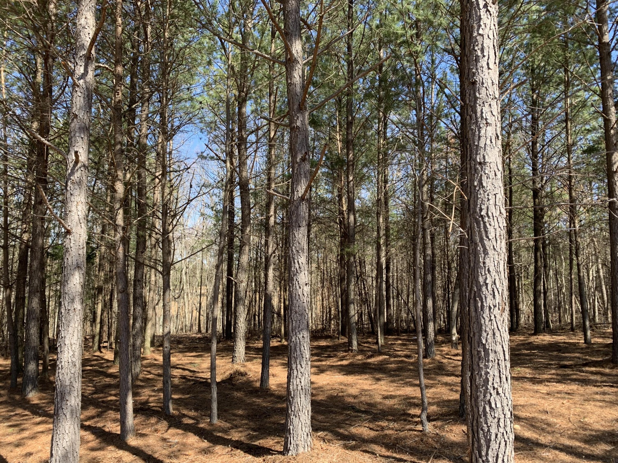 5140 Crockett Jasper TN 37347