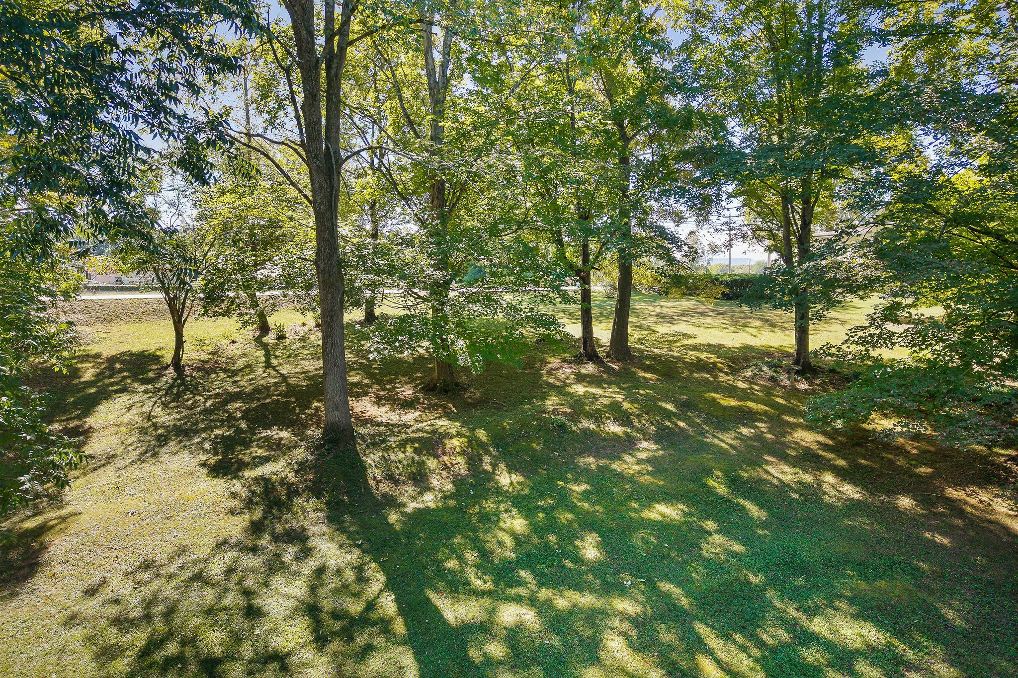 215 W Sparta Street Mcminnville TN 37110