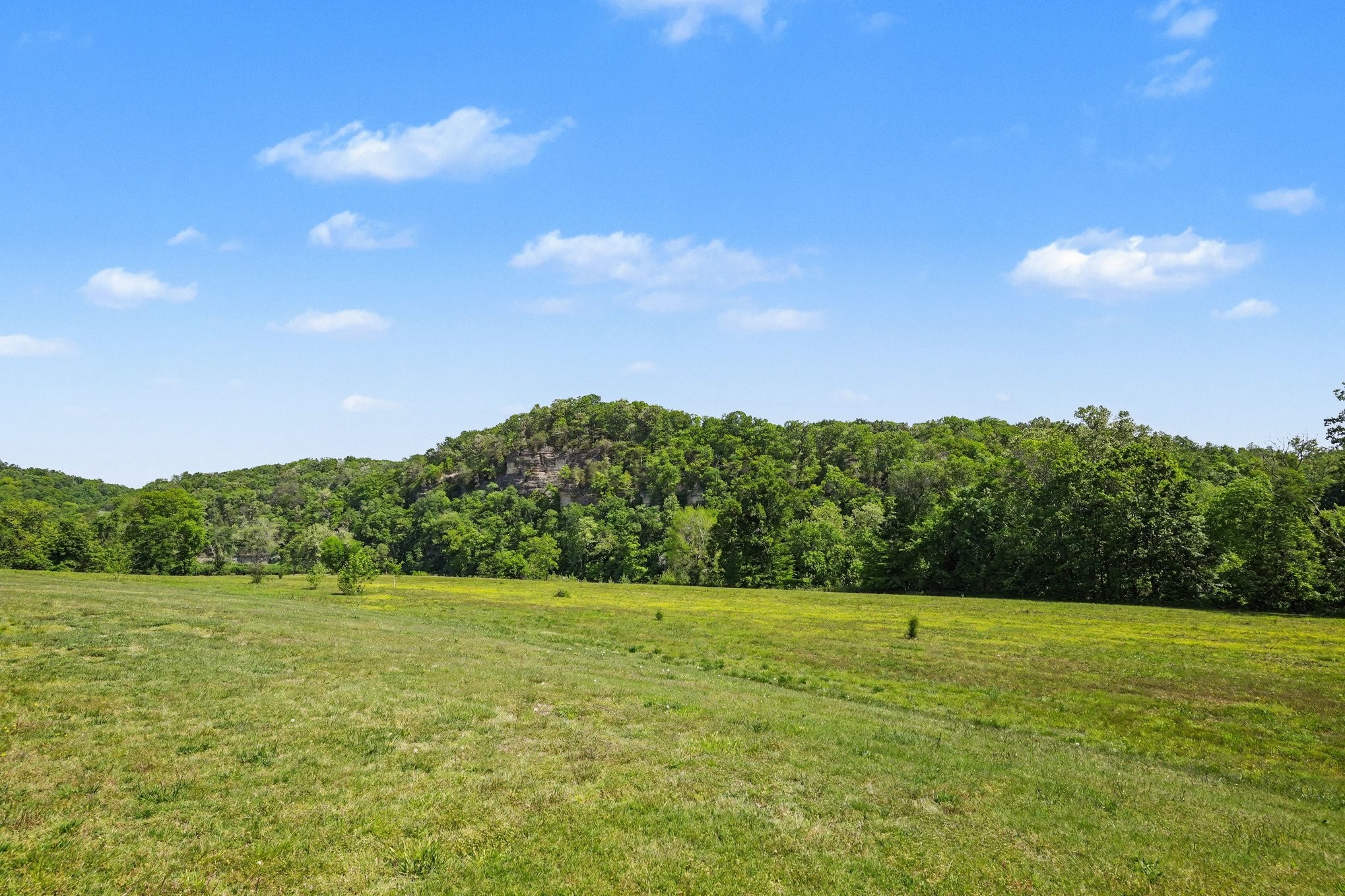7699 N County Line Road Fairview TN 37062