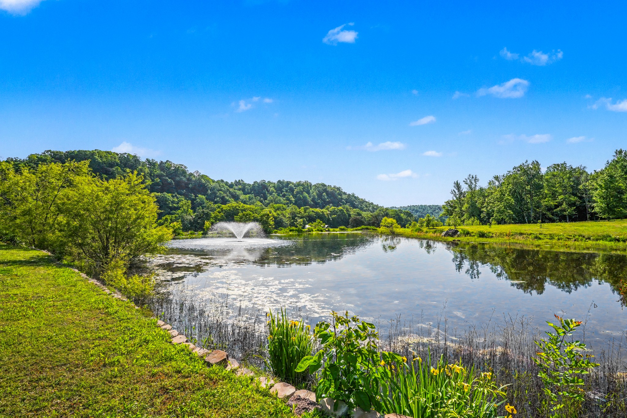 7699 N County Line Road Fairview TN 37062