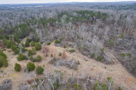5036 Kedron Road Columbia TN 38401