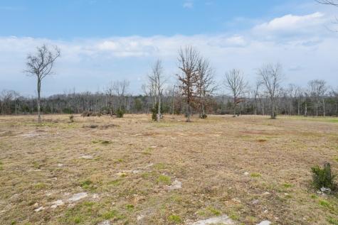 5036 Kedron Road Columbia TN 38401