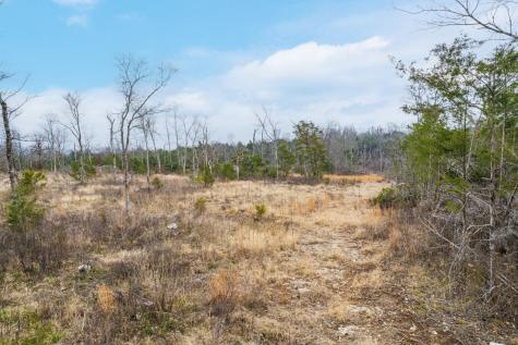 5036 Kedron Road Columbia TN 38401