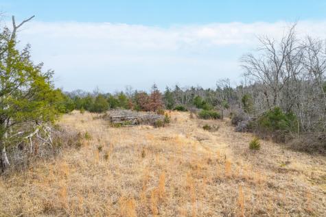 5036 Kedron Road Columbia TN 38401