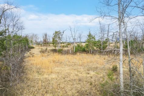 5036 Kedron Road Columbia TN 38401