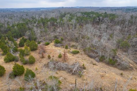 5036 Kedron Road Columbia TN 38401