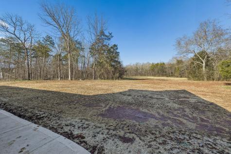 8533 Twelve Corners Road Lascassas TN 37085