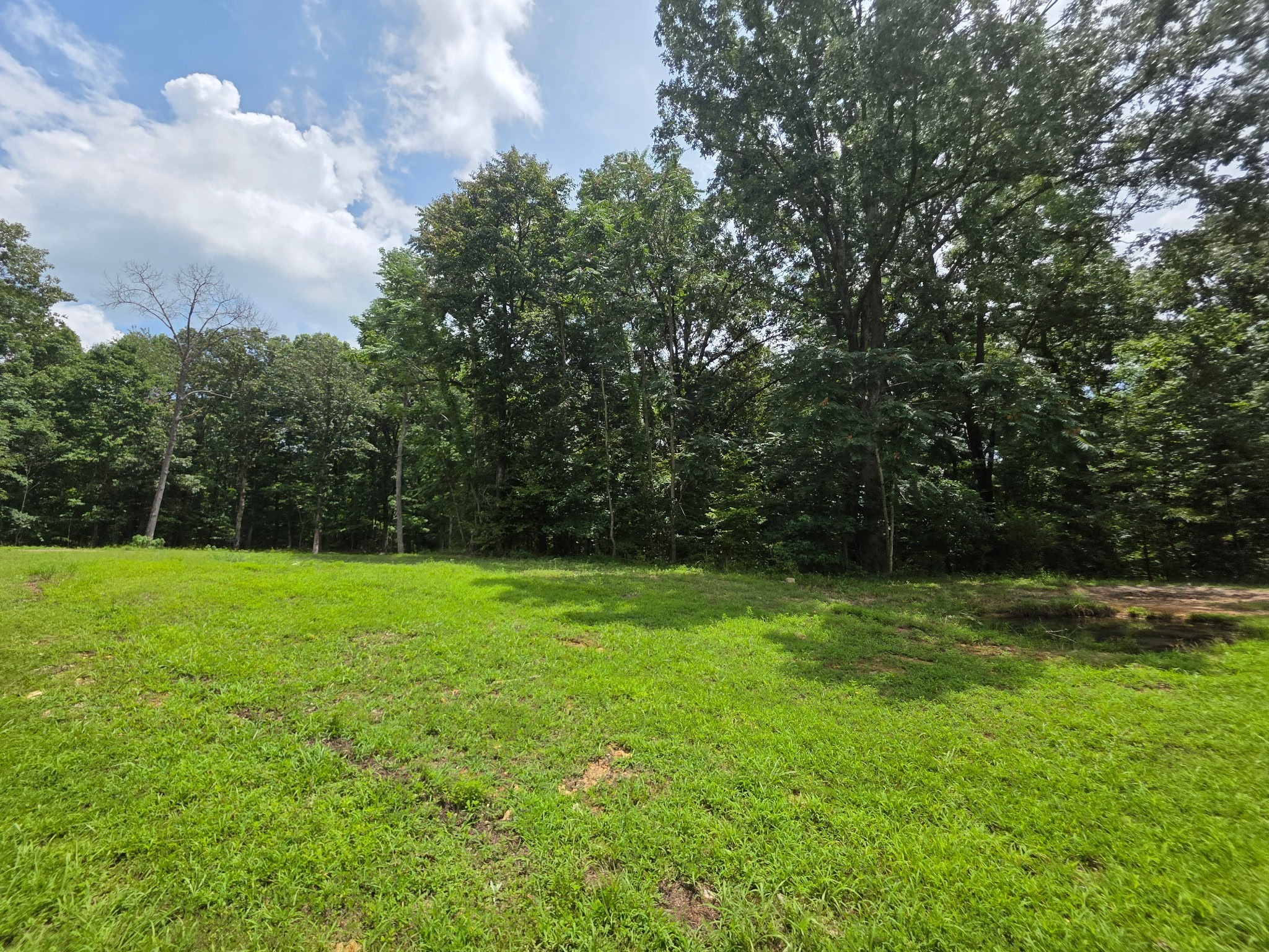 0 Baggett Hollow Cunningham TN 37052