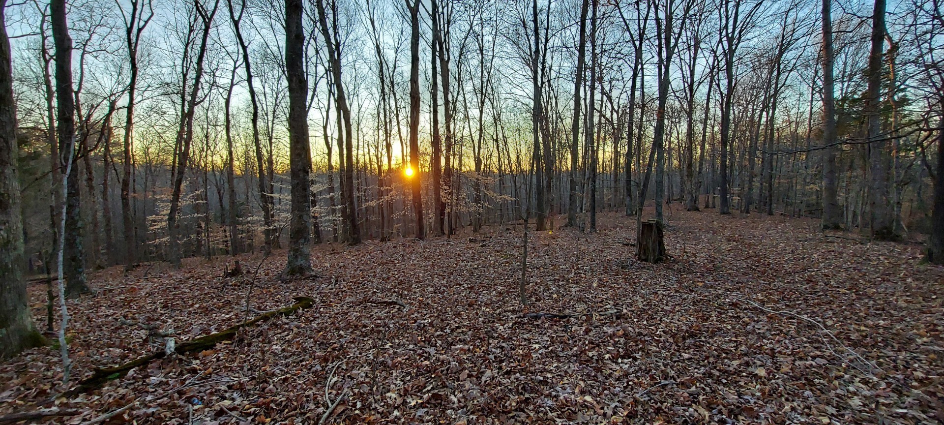 0 Baggett Hollow Cunningham TN 37052