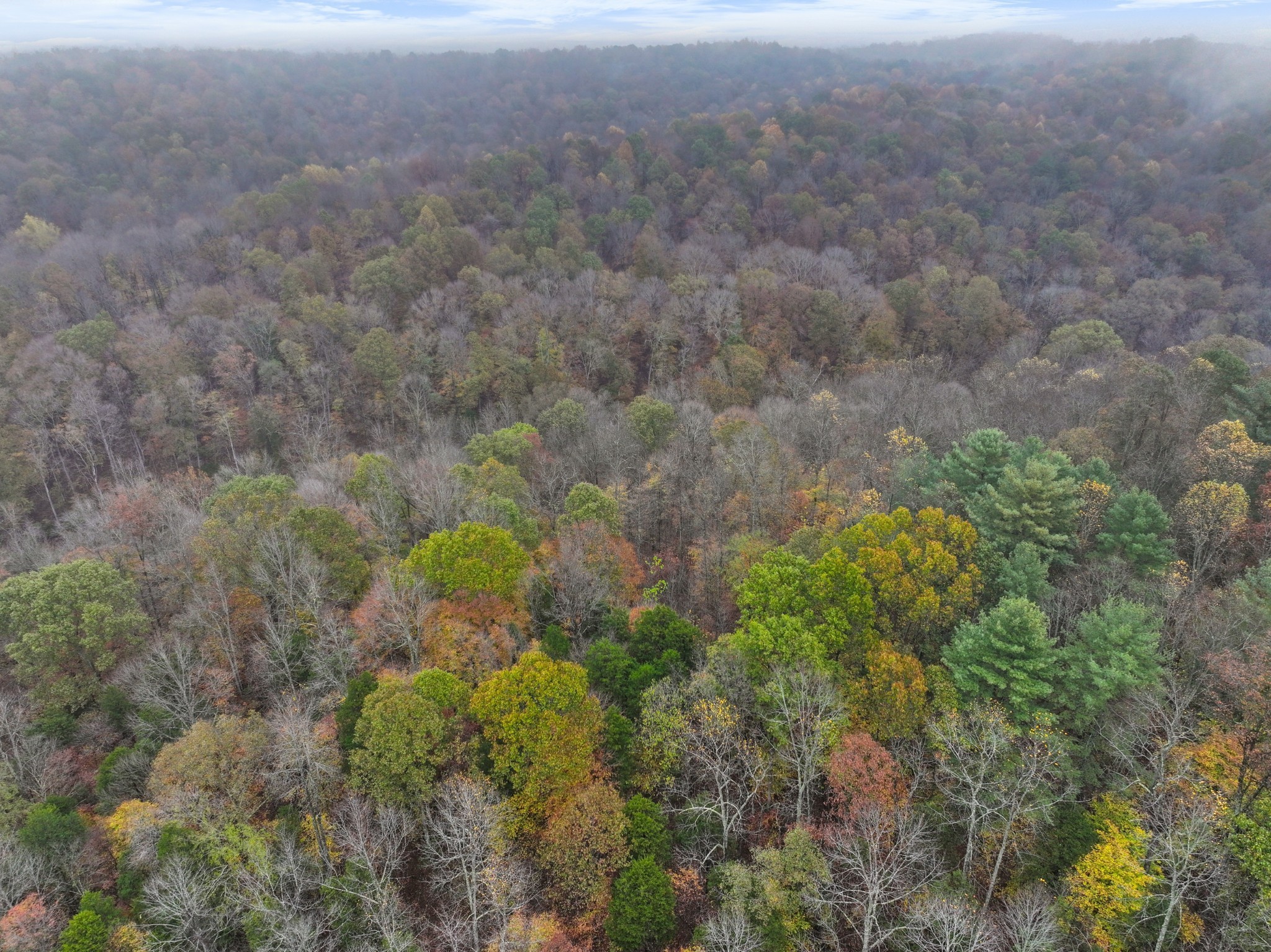 0 Baggett Hollow Cunningham TN 37052
