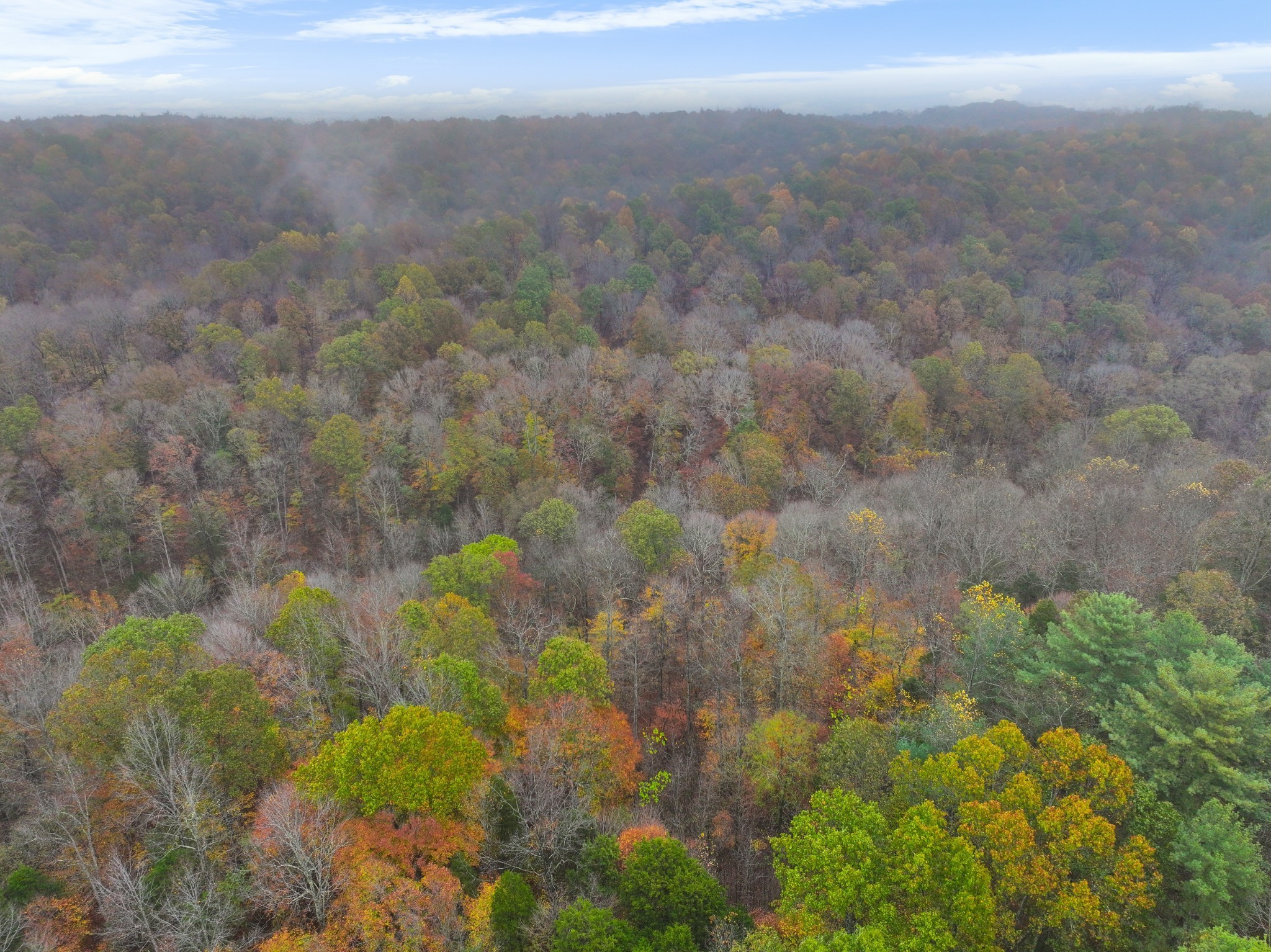 0 Baggett Hollow Cunningham TN 37052