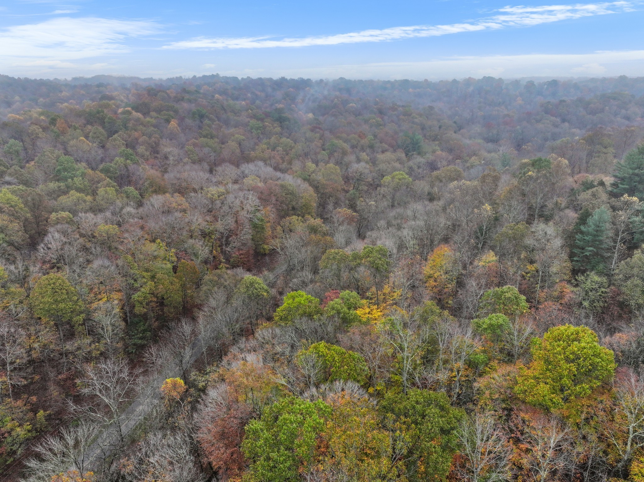 0 Baggett Hollow Cunningham TN 37052