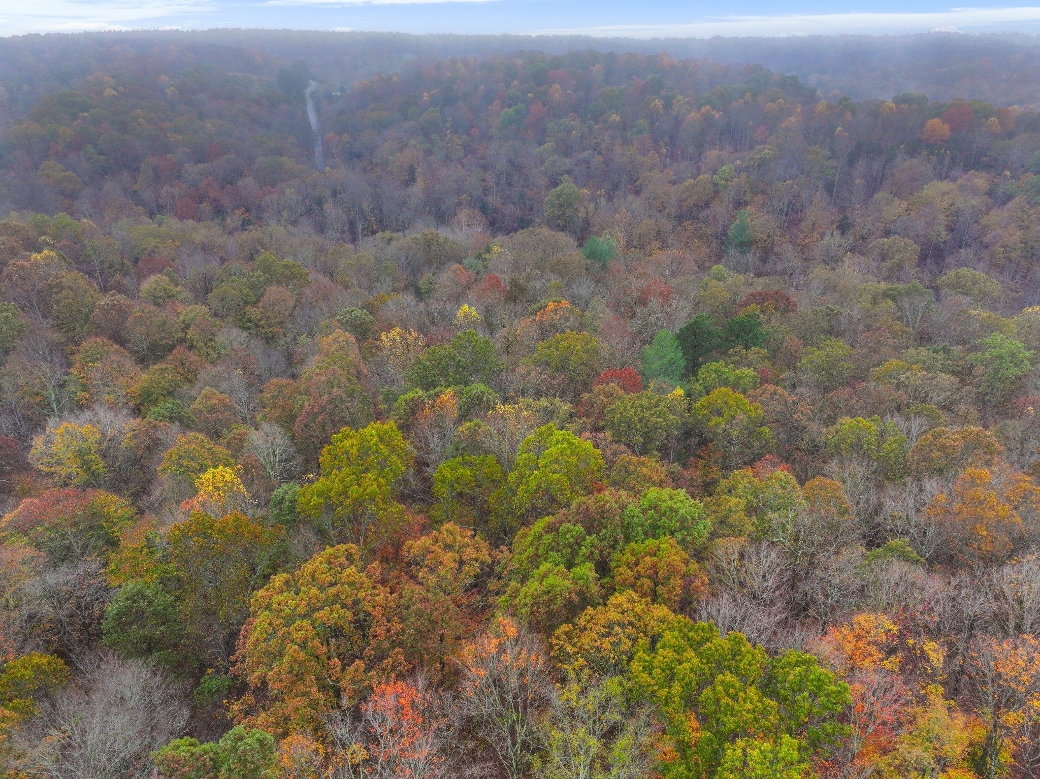 0 Baggett Hollow Cunningham TN 37052