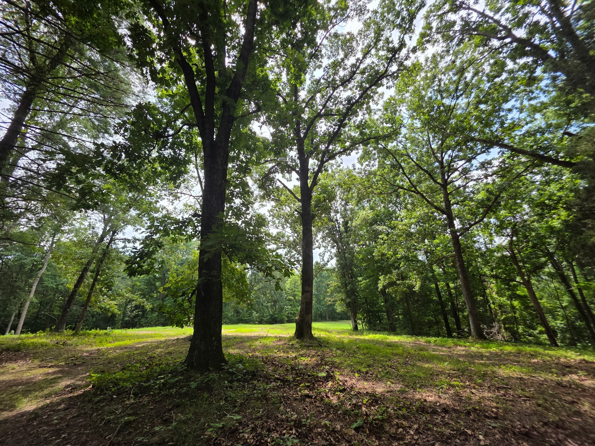 0 Baggett Hollow Cunningham TN 37052