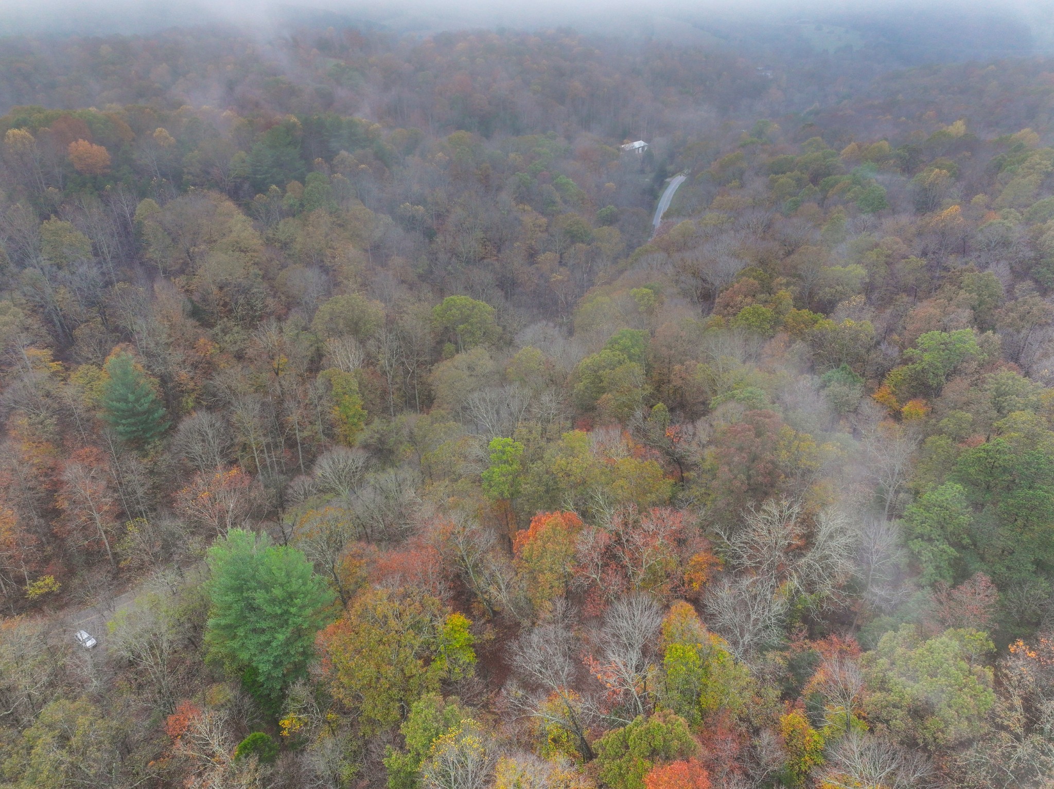 0 Baggett Hollow Cunningham TN 37052