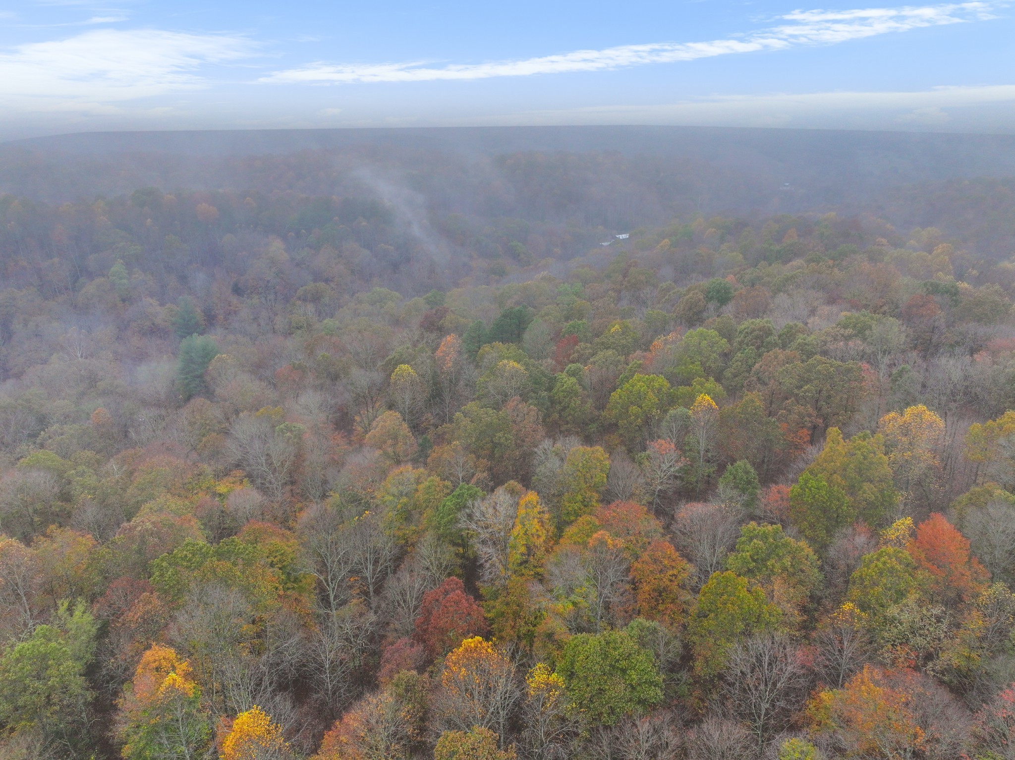 0 Baggett Hollow Cunningham TN 37052