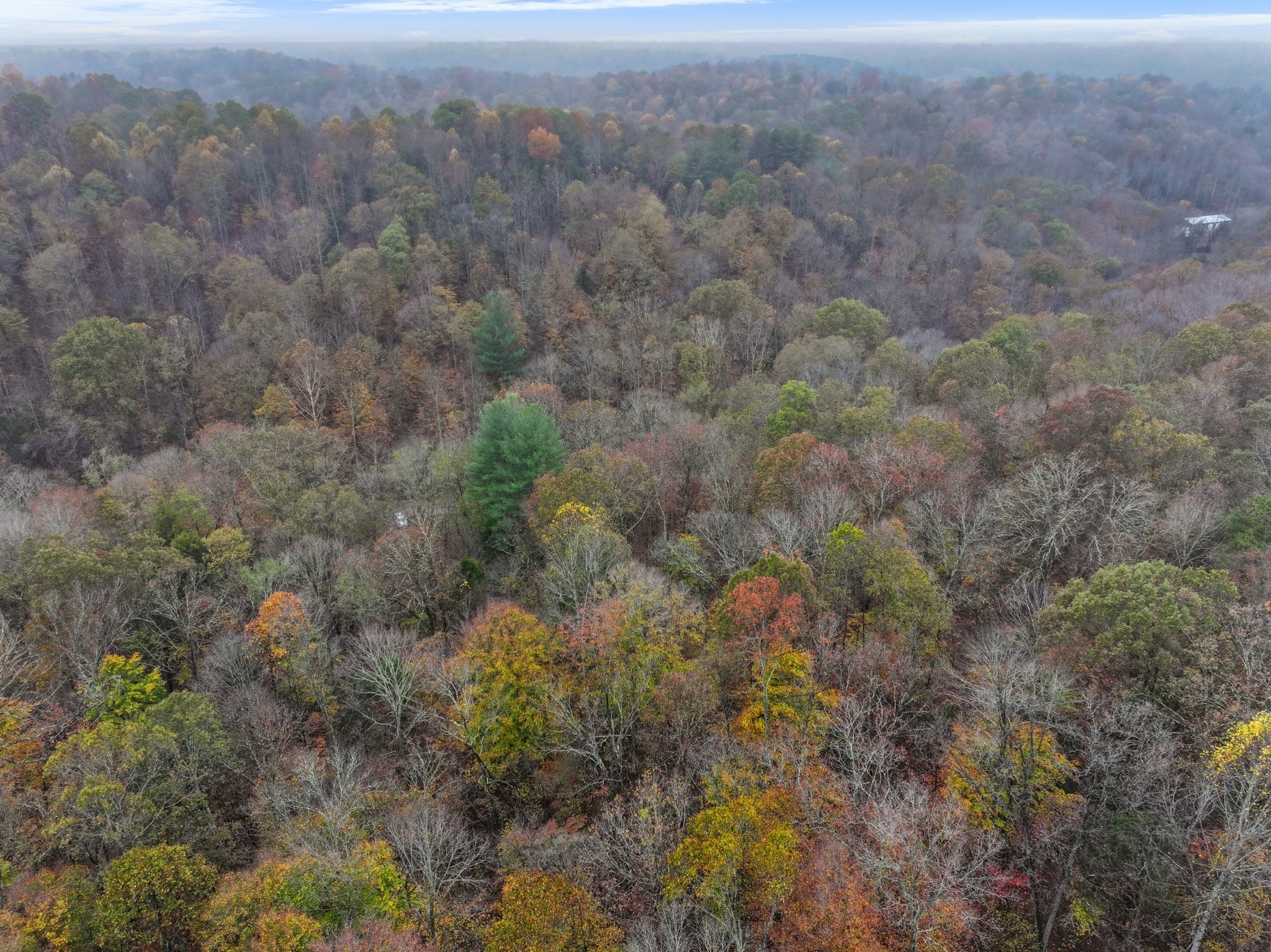 0 Baggett Hollow Cunningham TN 37052