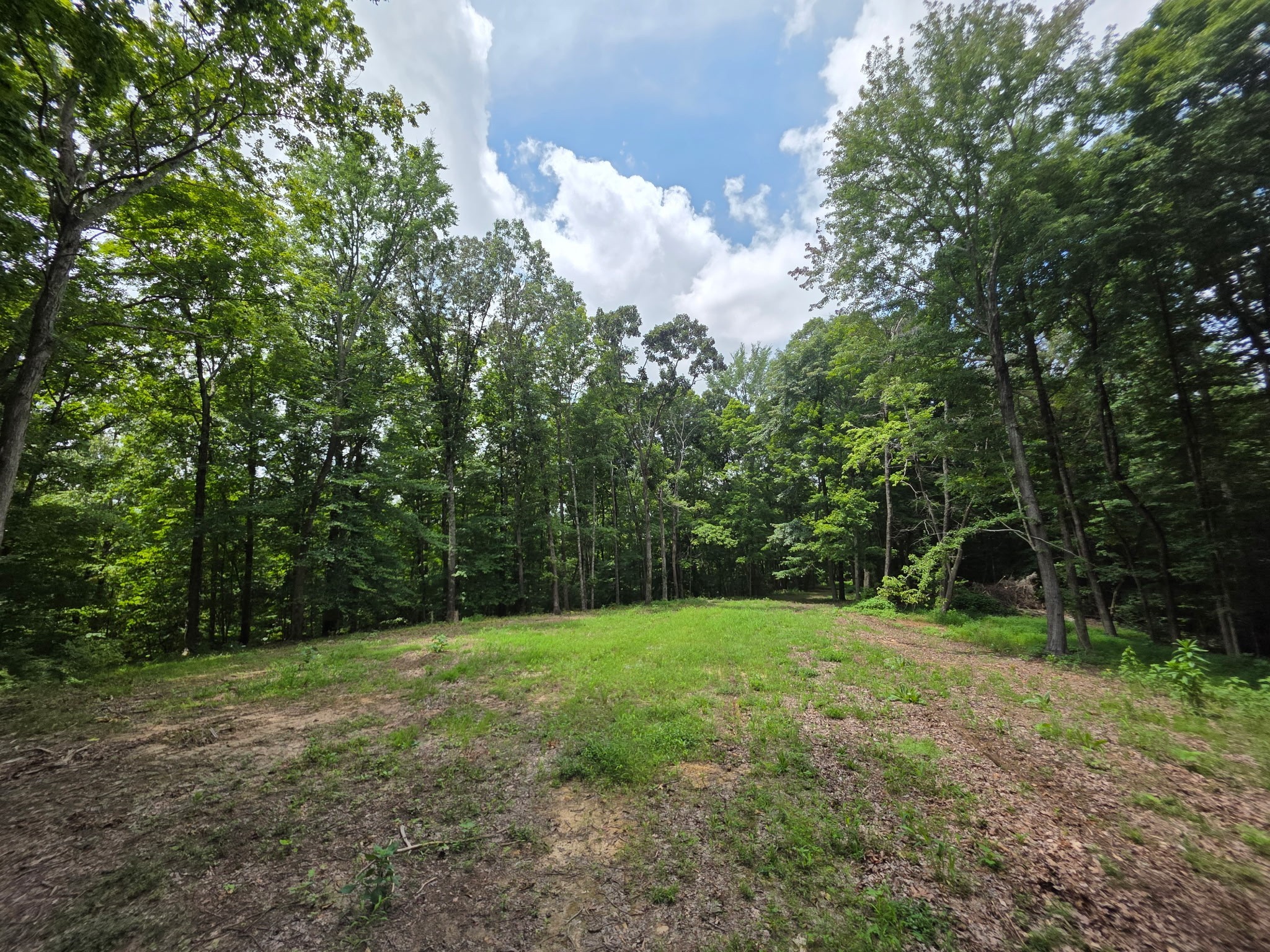0 Baggett Hollow Cunningham TN 37052