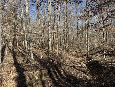 0 Whites Cave Road Sparta TN 38583